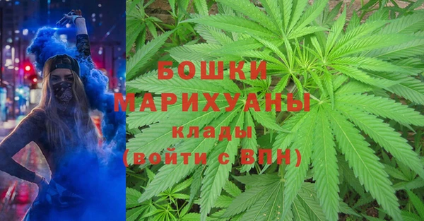 бутират Алексин