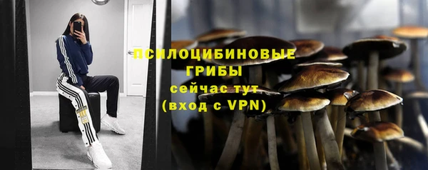 гашик Алексеевка