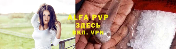 гашик Алексеевка