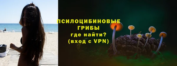 бутират Алексин