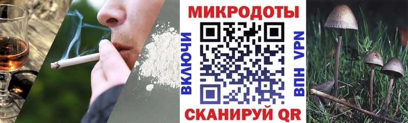 Псилоцибиновые грибы Psilocybine cubensis  даркнет сайт  Дмитриев 